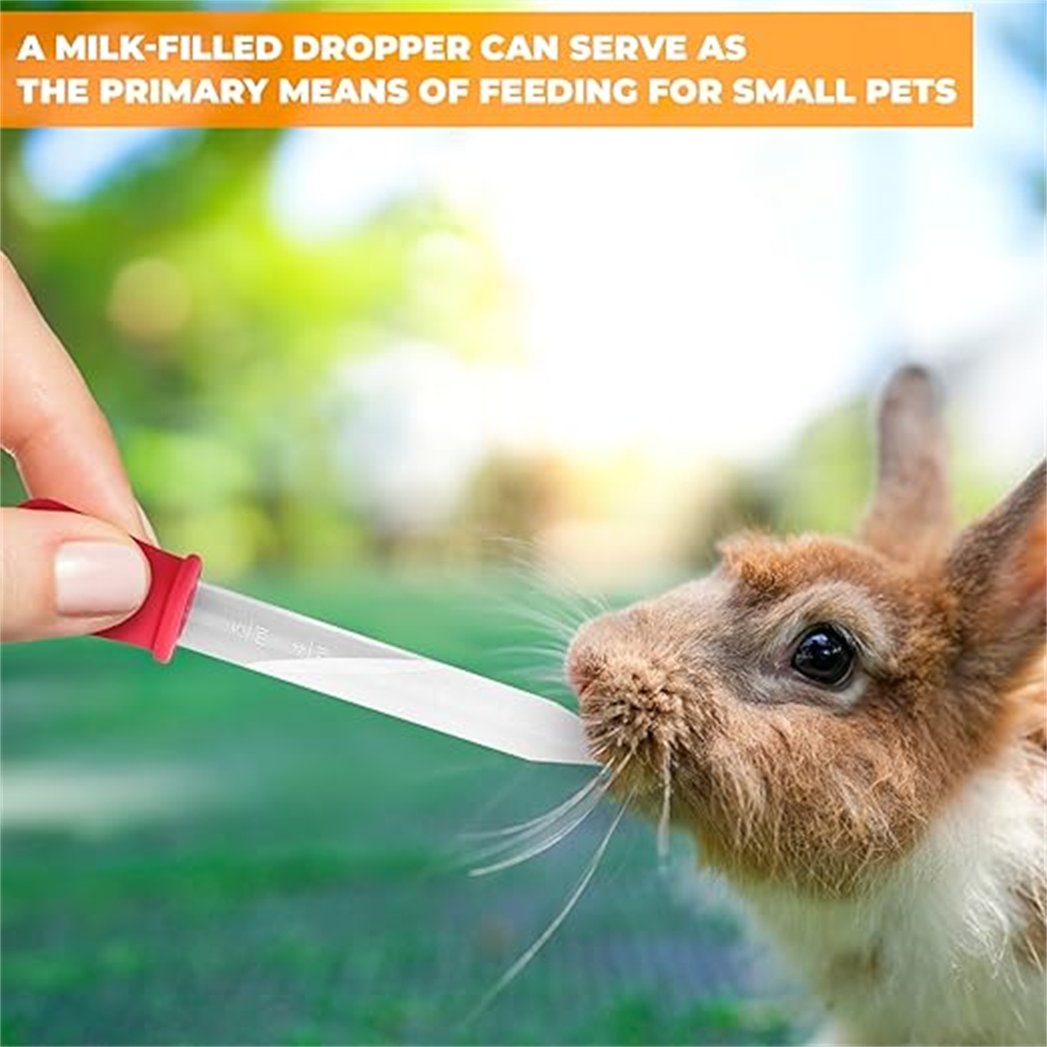 8개 실리콘 및 플라스틱 액체 드로퍼, 전구형 팁이 있 - Lab Pipette Tip 리뷰 및 가격